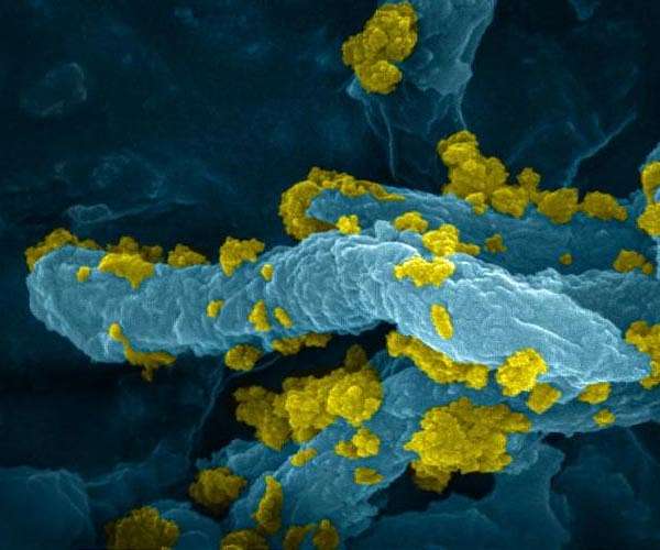 Shining light to make hydrogen
