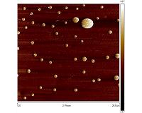 Self-cleaning, anti-reflective, microorganism-resistant coatings