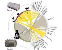 Detecting bacteria in space