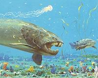 New evidence that volcanism triggered the late Devonian extinction