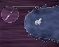Rosetta finds magnetic field-free bubble at comet