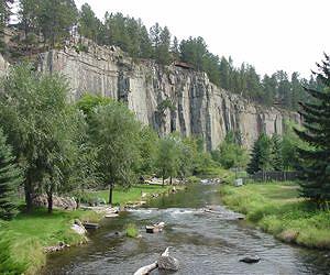 Freshwater algae mystery solved