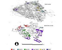 Neolithic tomb reveals community stayed together, even in death