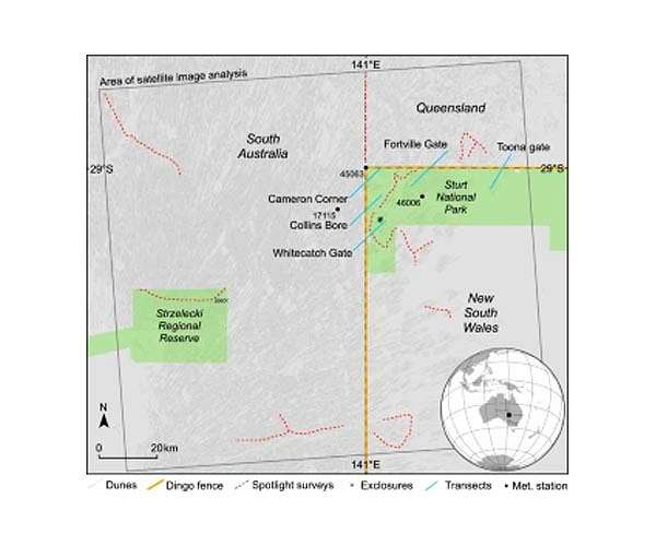 Dingo effects on ecosystem visible from space