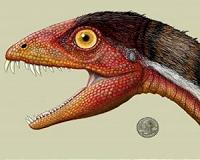 Dinosaurs used nasal passages to keep brains cool