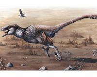 Scientists unearth largest dinosuar ever found with wing feathers