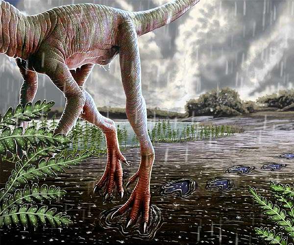 Group accuses Utah agency of ruining ancient dinosaur tracks