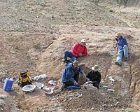 Paper Describes New Dinosaur Species Found Near Choteau