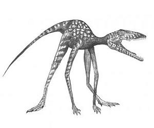Oldest Evidence Of Dinosaurs Found In Polish Footprints