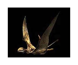 Flying dinosaurs, birds co-existed