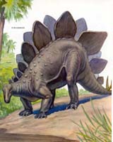 Stegosaur Plates And Spikes For Looks Only, Researchers Say