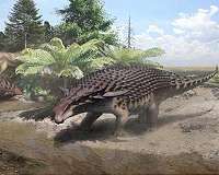 Well-preserved Canadian fossil reveals dinosaur armor like no other