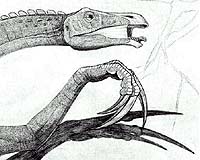Recent Dinosaur Discoveries In Utah And Wyoming