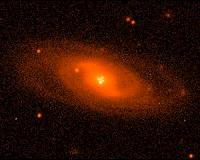 Einstein's Cross under the gravitational microlens