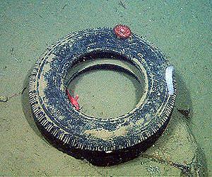 MBARI research shows where trash accumulates in the deep sea