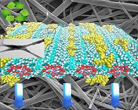Researchers take first steps to create biodegradable displays for electronics