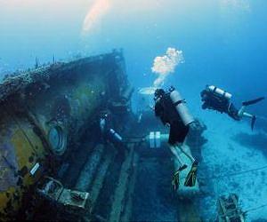 Study in underwater laboratory may help manage seaweed-eating fish that protect coral