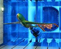 The DFG, DLR and the Helmholtz Association enable cutting-edge research for sustainable aviation