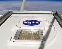 Which will survive? A microorganism zoo in the stratosphere