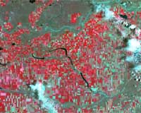 DMCii and DynAgra Help Farmers Control Costs And Boost Yields