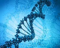 Ancient virus determines babies' gender