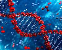 Engineers tap DNA to create 'lifelike' machines
