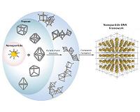 Researchers harness DNA as the engine of super-efficient nanomachine