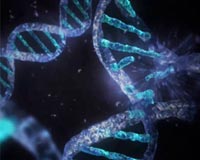 UC Davis scientists demonstrate DNA-based electromechanical switch