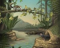 Jurassic saw fastest mammal evolution