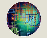 DOE Publishes Roadmap For New Biological Research For Energy Needs