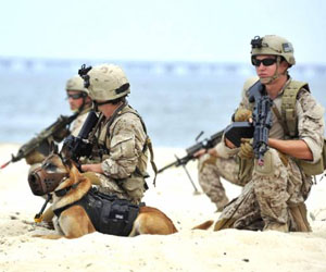 Dog of war in bin Laden mission is breed apart