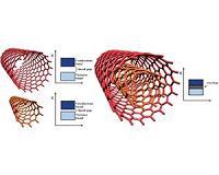 Nanotubes with 2 walls have singular qualities
