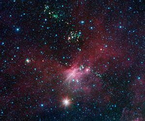 Spitzer Sees Milky Way's Blooming Countryside