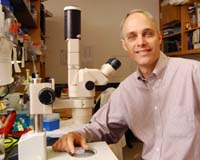 First Encyclopedia Of Nuclear Receptors Reveals Organisms Focus On Reproduction And Food