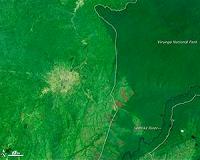 Felling of tropical trees has soared, satellite shows, not slowed