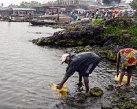 Water everywhere for DR Congo city yet scarcely a drop to drink