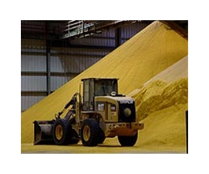 Argentine grain exports hit by port workers' strike
