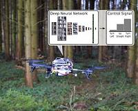 Drones showcase wildlife-counting skills in the EpicDuckChallenge