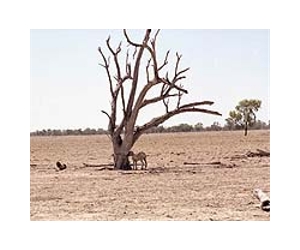 Australia suffers hottest decade as globe warms