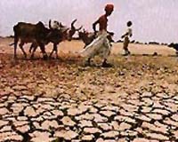 Climate change: Act now on floods, drought, says forum