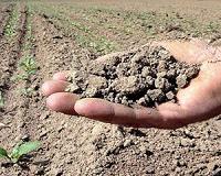 German harvest battered by drought, heatwave: farmers' association