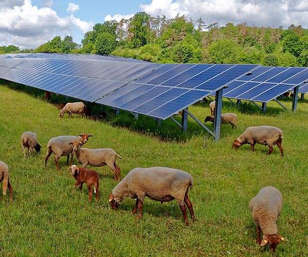 Increasing solar energy use offers key opportunity to reduce US carbon emissions
