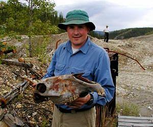 Yukon Gold Mine Yields Ancient Horse Fossil