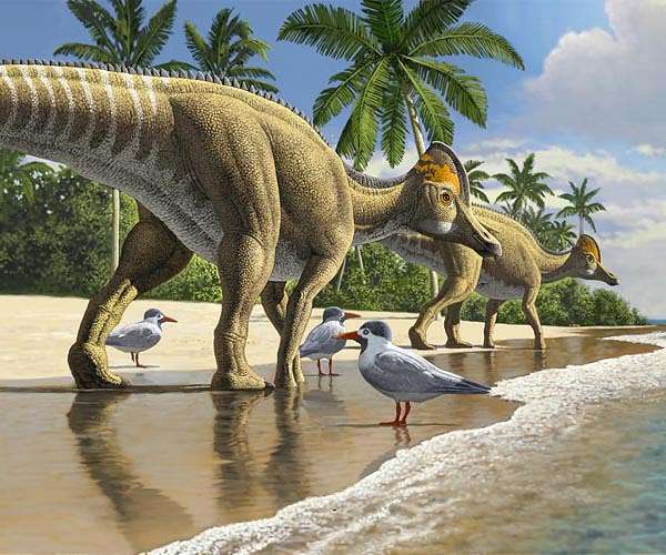 Artificial intelligence finds surprising patterns in Earth's biological mass extinctions