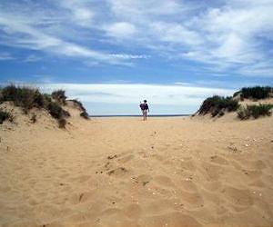 Europe's beaches clean, but France lagging: study