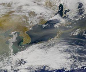Dust-plumes power intercontinental microbial migrations