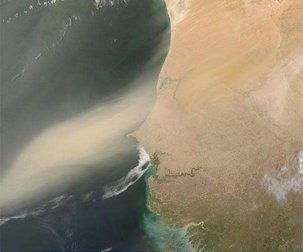 What role do dust storms play in the world's climate?