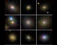 Black holes stunt growth of dwarf galaxies