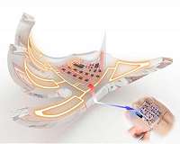 A rubber computer eliminates the last hard components from soft robots