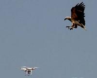 US Interior Department grounds Chinese-made drones